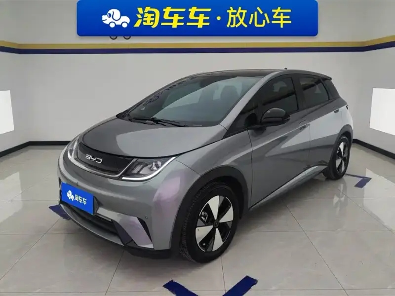 BYD Dolphin