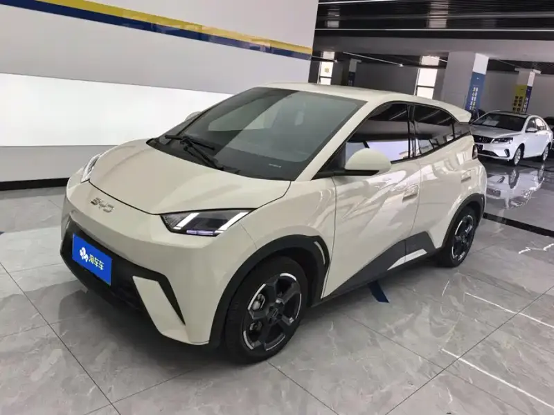 BYD Seagull
