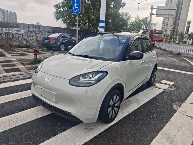 Wuling Bingo