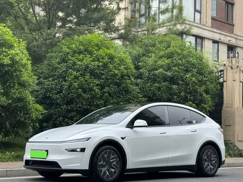 Tesla Model Y L