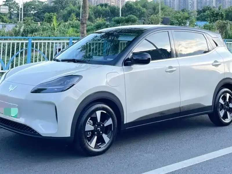 Wuling Bingo PLUS