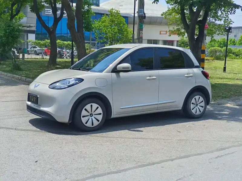 Wuling Bingo