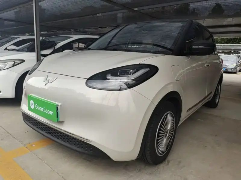 Wuling Bingo
