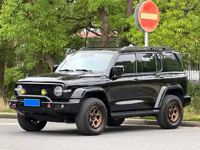Tank 300