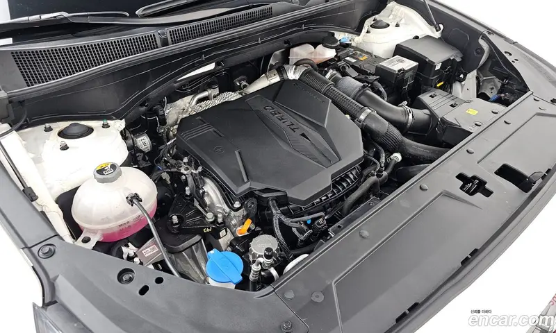 Hyundai Santa Fe (Santafe)