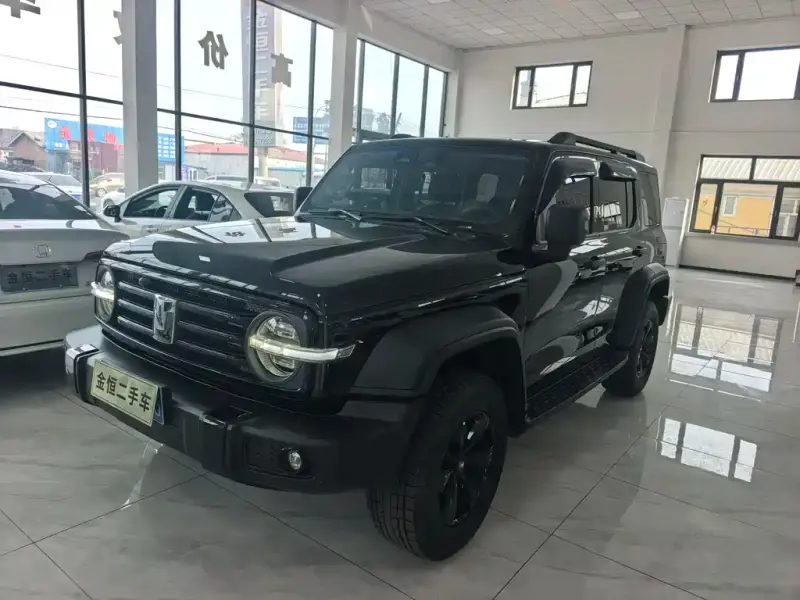 Tank 300