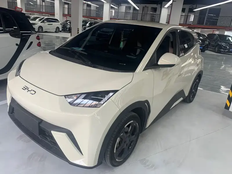 BYD Seagull