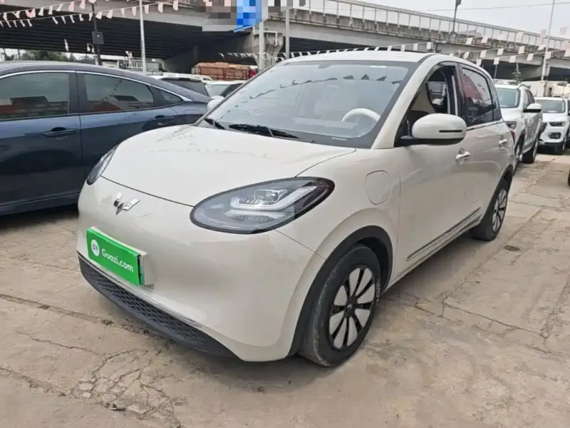 Wuling Bingo