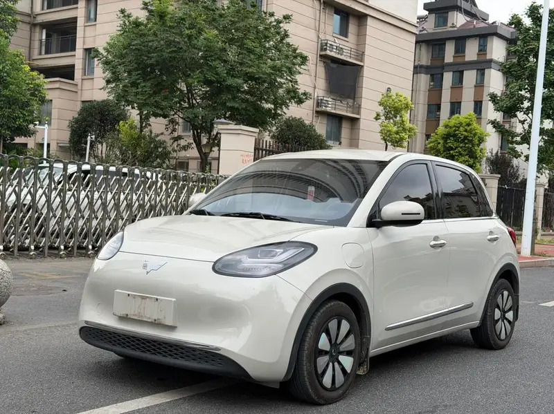 Wuling Bingo