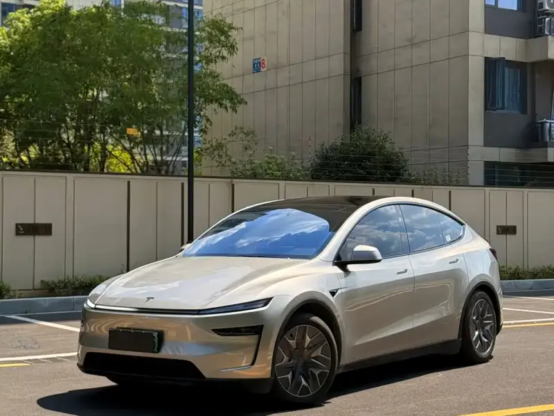 Tesla Model Y L