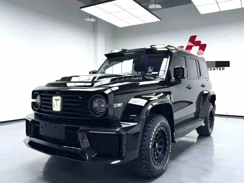 Tank 300
