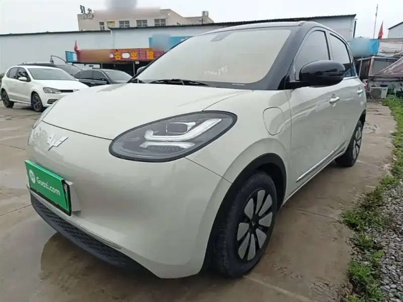 Wuling Bingo