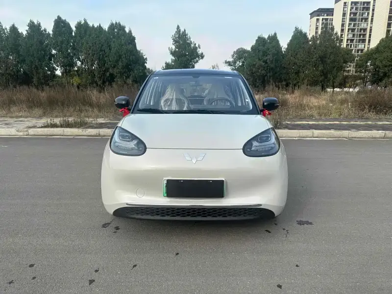 Wuling Bingo