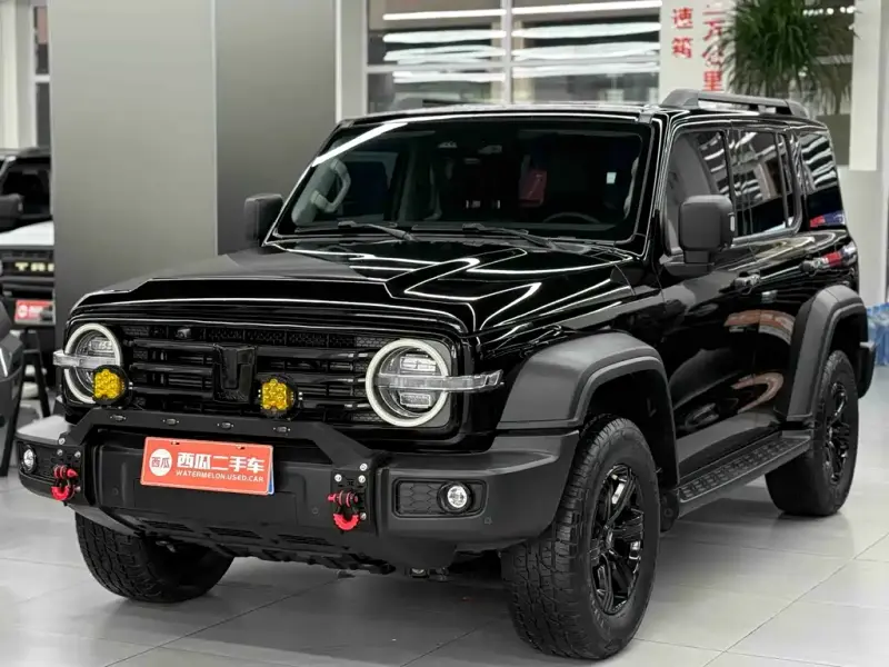 Tank 300