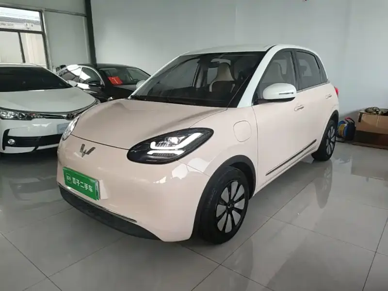 Wuling Bingo