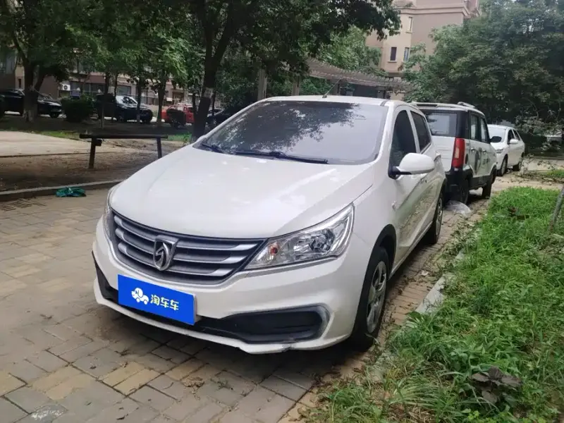 Baojun 310