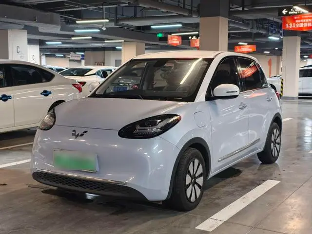 Wuling Bingo
