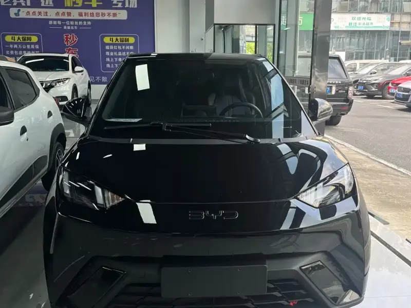 BYD Seagull