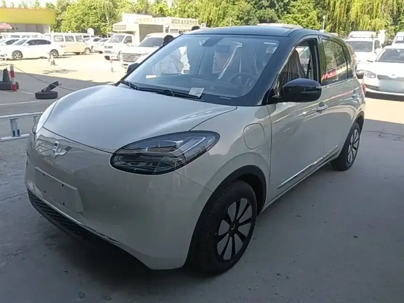 Wuling Bingo