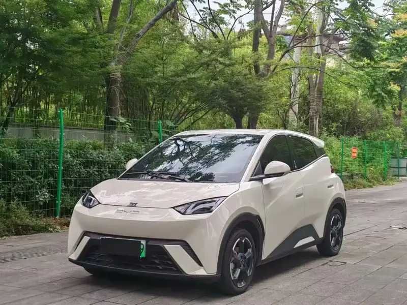 BYD Seagull