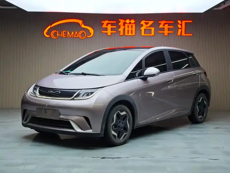 BYD Dolphin