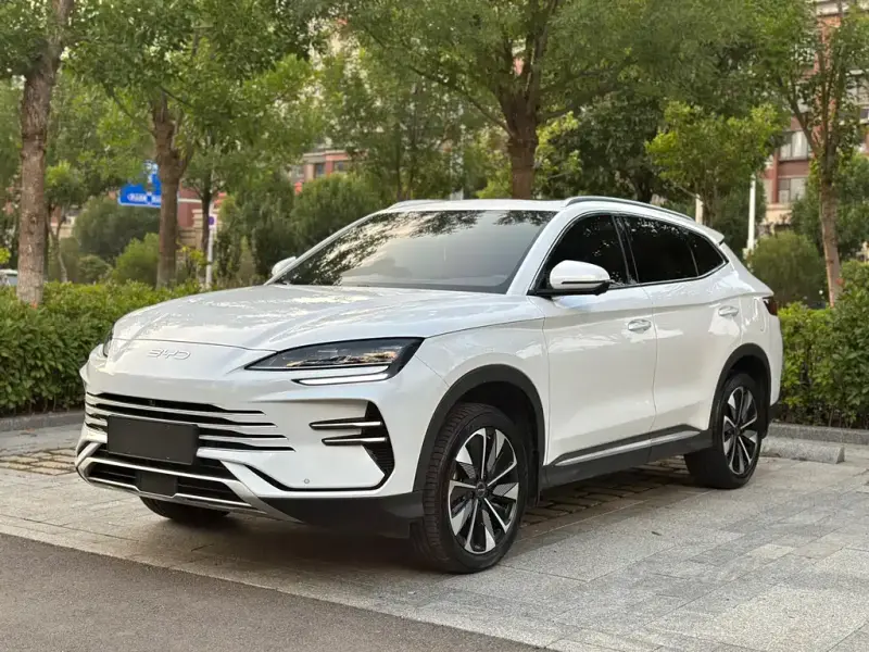 BYD Seal U (PLUS New Energy)