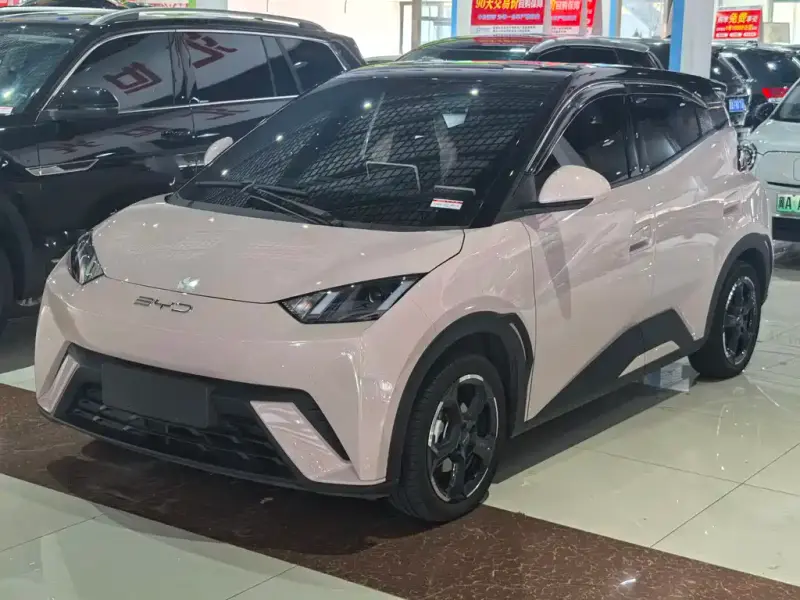 BYD Seagull
