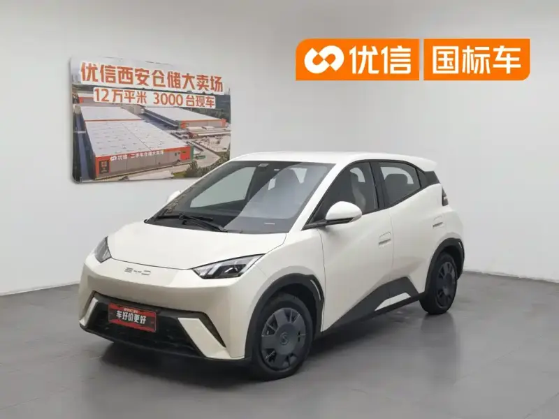 BYD Seagull