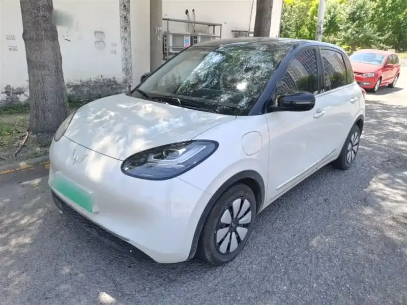 Wuling Bingo