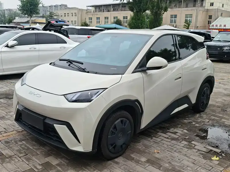 BYD Seagull