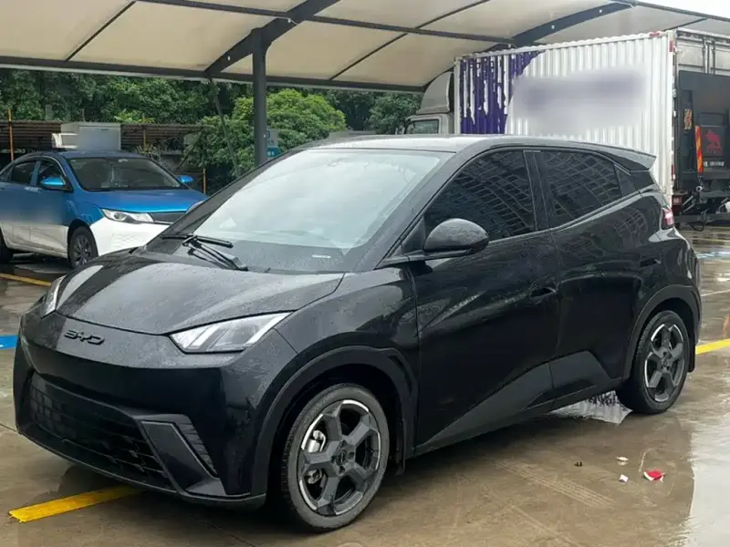BYD Seagull
