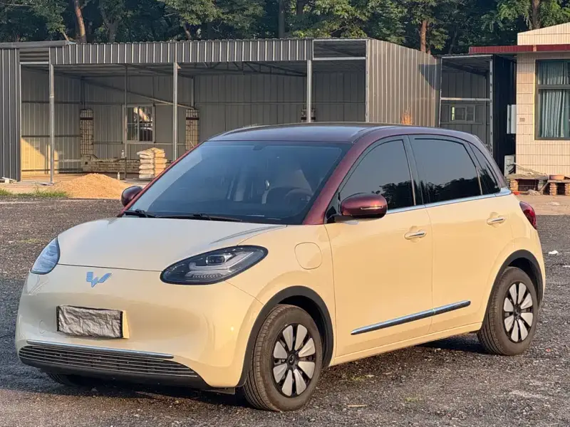 Wuling Bingo