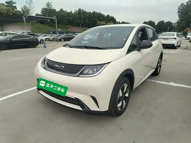 BYD Dolphin