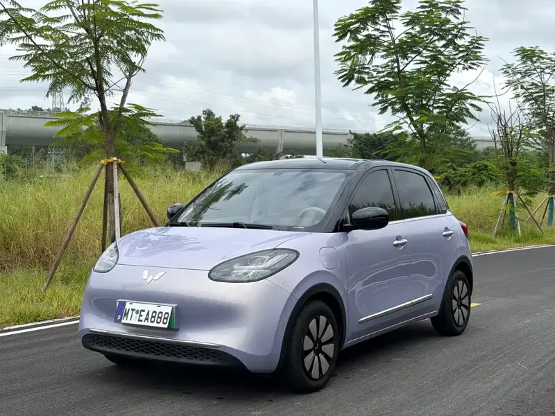 Wuling Bingo