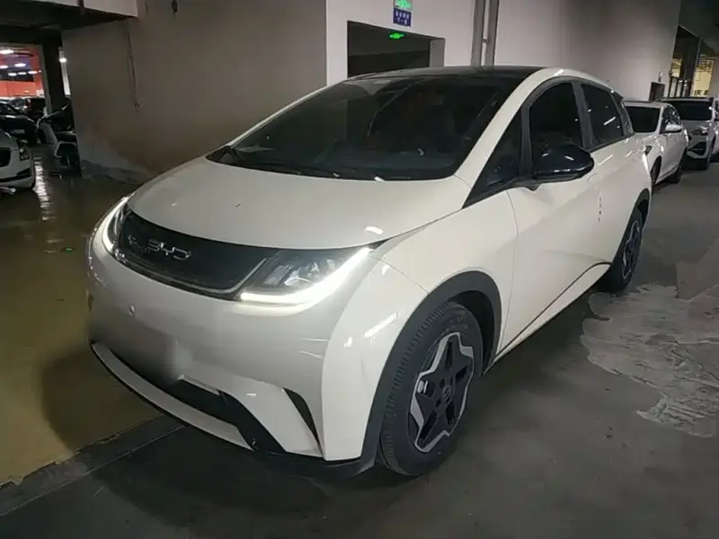 BYD Dolphin