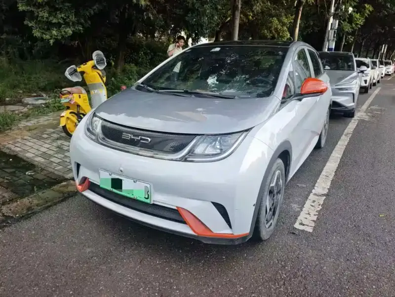 BYD Dolphin