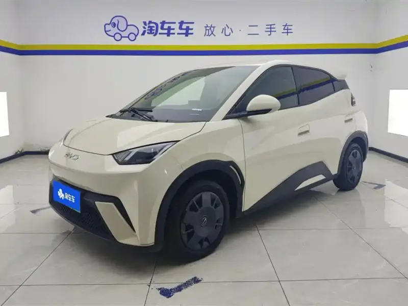 BYD Seagull