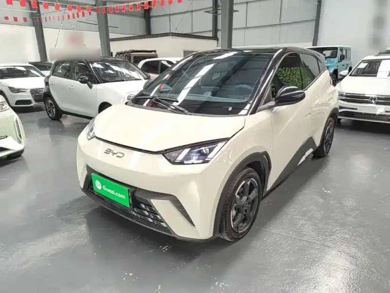 BYD Seagull