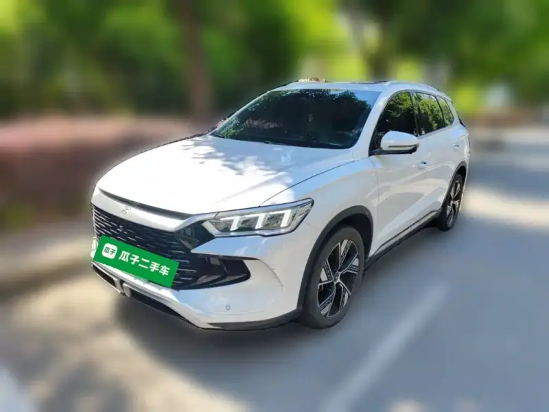 BYD Pro New Energy