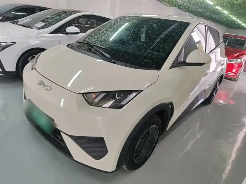 BYD Seagull