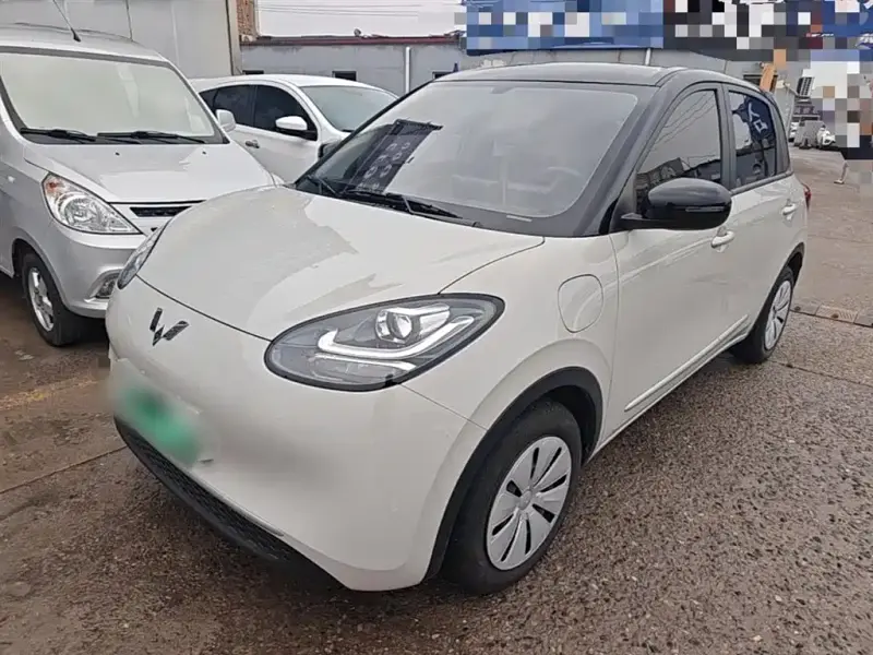 Wuling Bingo