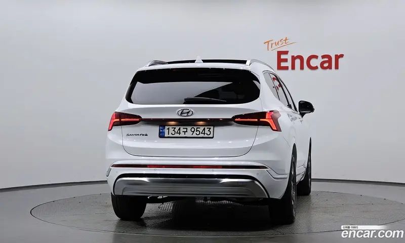 Hyundai Santa Fe (Santafe)