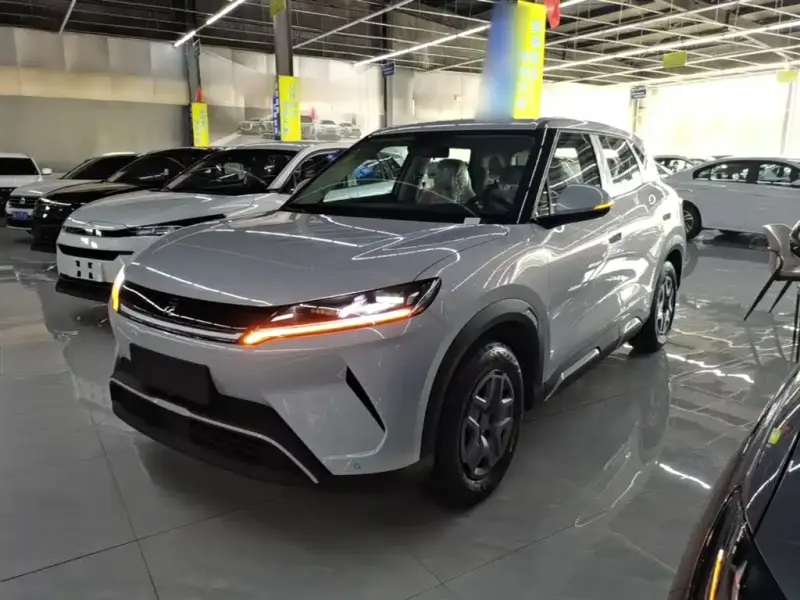 BYD Atto 2 (Yuan UP)