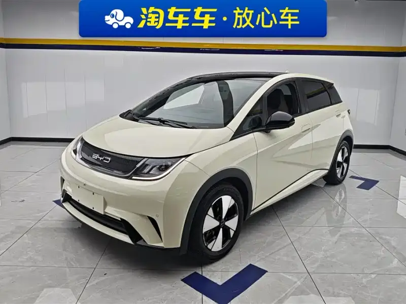 BYD Dolphin