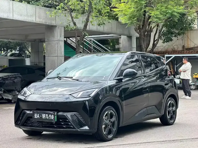 BYD Seagull