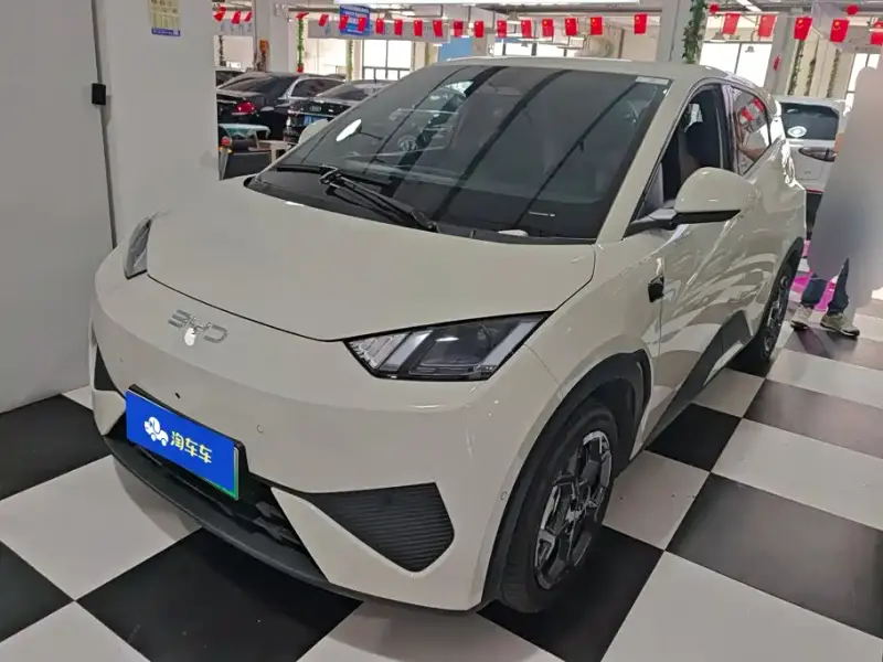 BYD Seagull