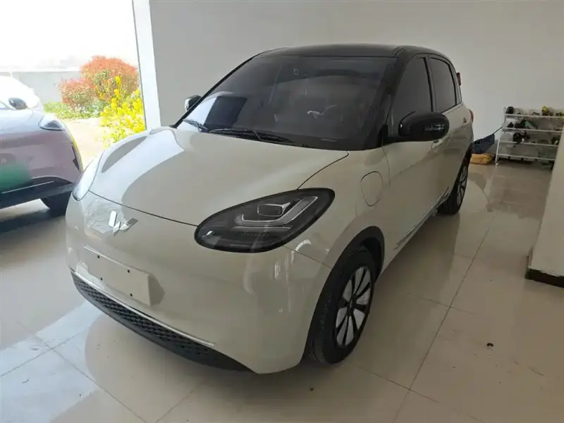 Wuling Bingo