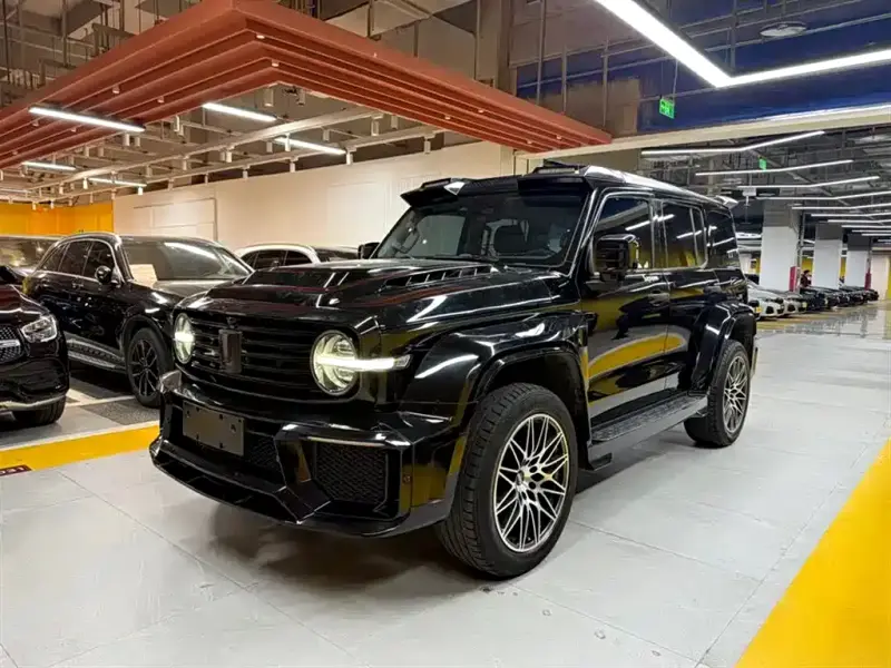 Tank 300