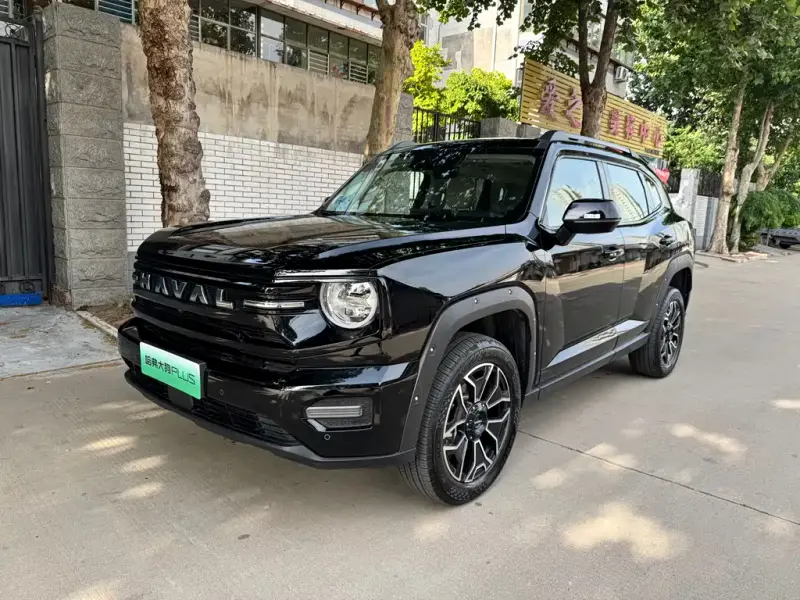 Haval Dargo PLUS NEV