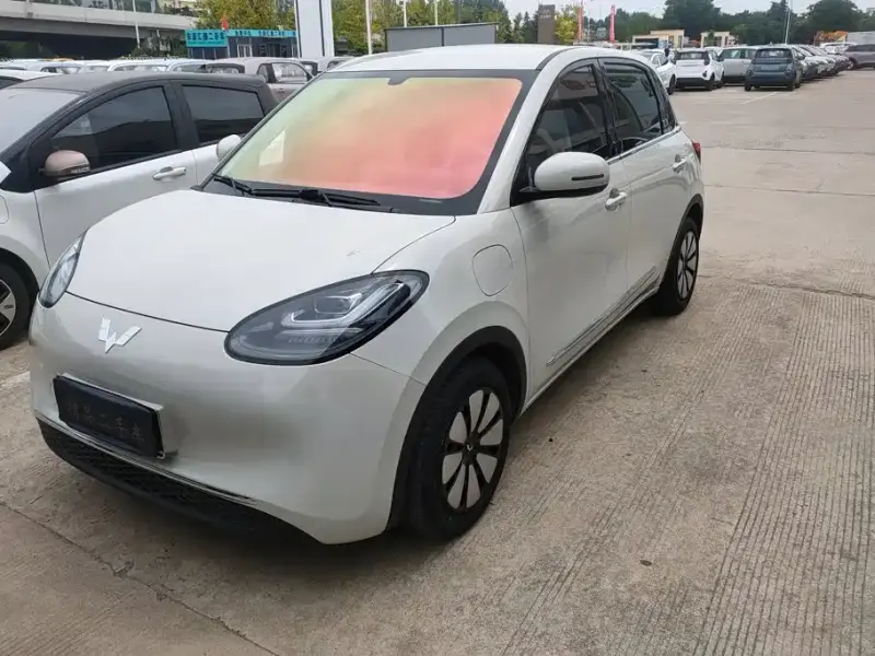 Wuling Bingo